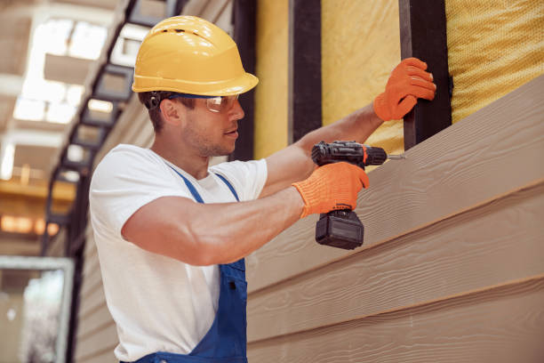Best Siding Painting and Refinishing  in Mabscott, WV